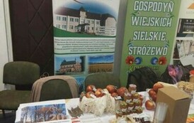 432584405_383335037824114_217438697742416757_n