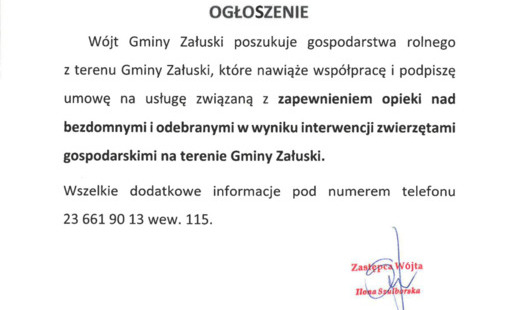 Zdjęcie do Ogłoszenie - opieka nad bezdomnymi zwierzętami