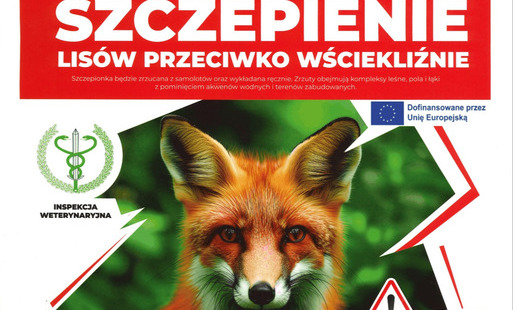 Szczepienie lisów przeciwko wściekliźnie 10-16.09.2026