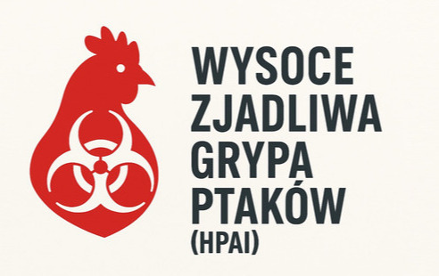 Komunikat Powiatowego Lekarza Weterynarii w Płońsku